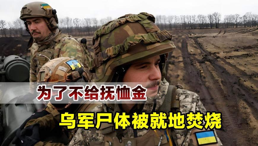 奥门正版免费资料正版,宁马城际铁路延期运营系谣言,全面解答解释落实_VR版V1.91