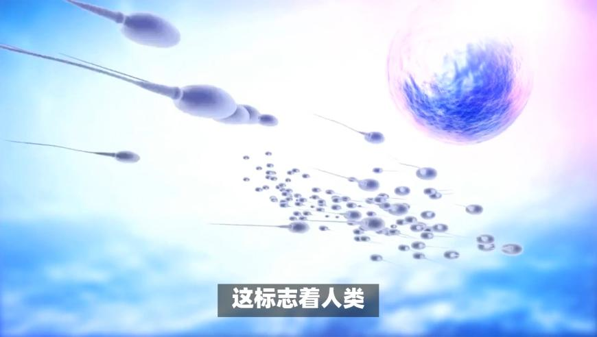 王中王心水论555525Cm,北京大风,权威独家讨论与热门话题_AR版V8.32