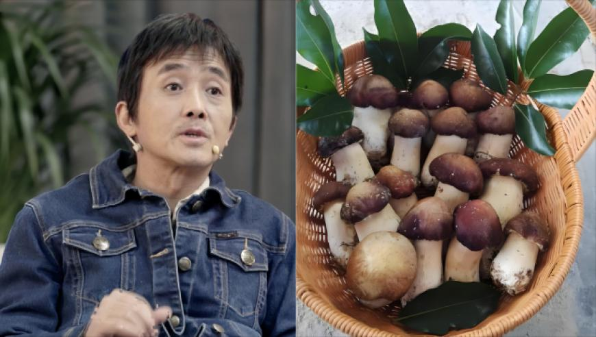 2025澳门特马今晚开奖,欧莱雅中国市场遇增长挑战,确保成语解释落实的问题_纪念版V10.42