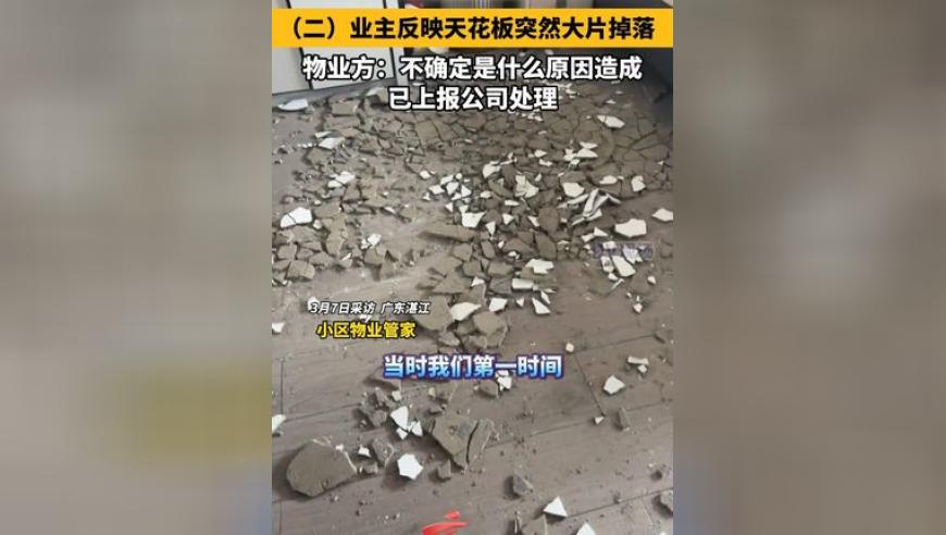 新澳门管家婆免费资料查询2025,诗琳去世,确保成语解释落实的问题_AR版V3.51