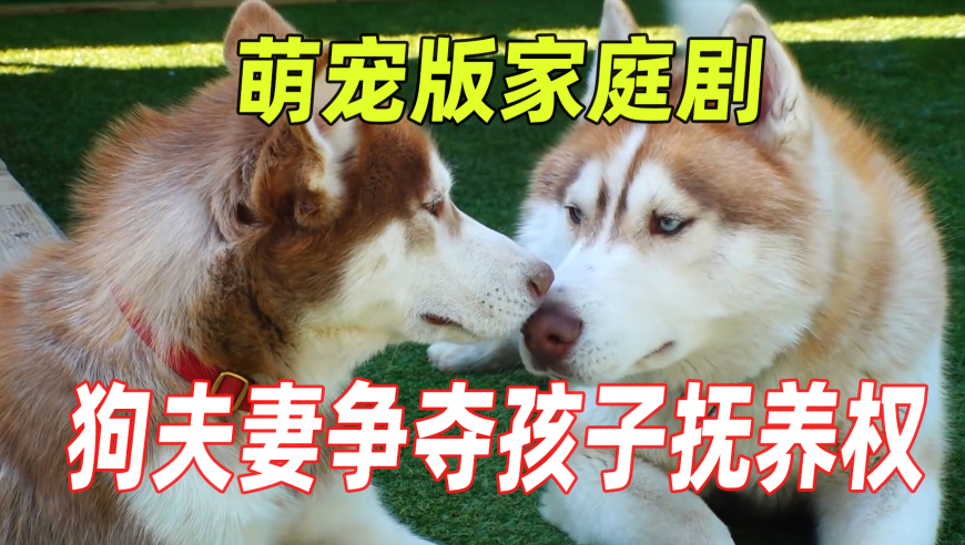 2025年第一个热梗靠腰嘞,2025澳门管家婆资料正版大全,整体规划执行讲解_创意版V4.35