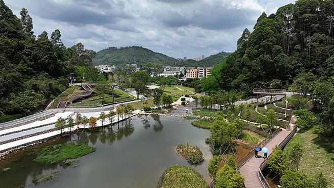 老人跟团游遭遇陷阱：200元游遍大海与“海景房”的惊天之谜